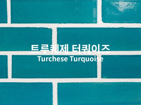 트루퀘제 쿼이즈