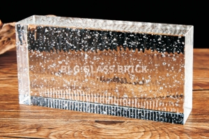 BLG-73 폴리시 버블뉘앙스 화이트 유리벽돌