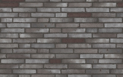 RT 556FF, 셀레네