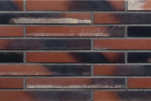​​​​​​​코랄 스타 (LF08)