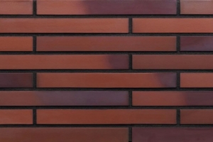 마그레브 파이어 (LF10)