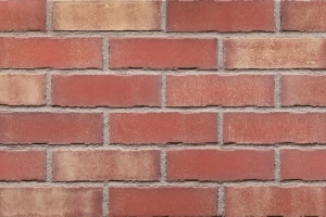 네버 랜드 (HF38)