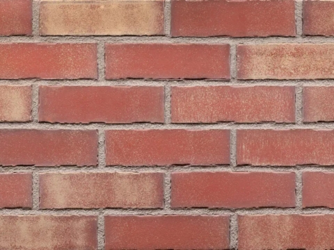 네버 랜드 (HF38)