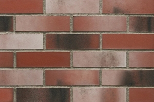 수퍼노바 (HF79)