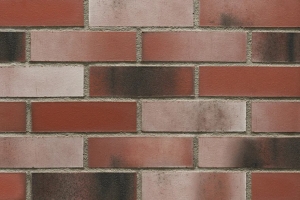 수퍼노바 (HF79)