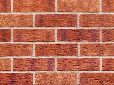 퍼플 레인 (HF10)