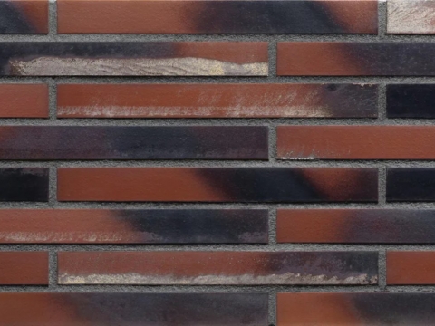 ​​​​​​​코랄 스타 (LF08)