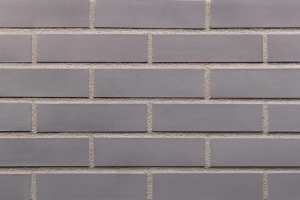미스티 모닝 (DH12)
