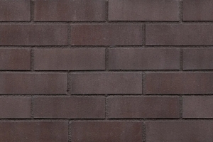 어스 스킨 (HF67)